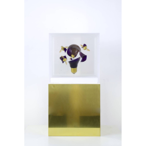 Jean-Luc MANIOULOUX, Impact, Insectes naturalisés, ampoule et plexiglas, 20 X 20 X 20 Cm (+ Socle Laiton 20 X 20 X 20 cm )