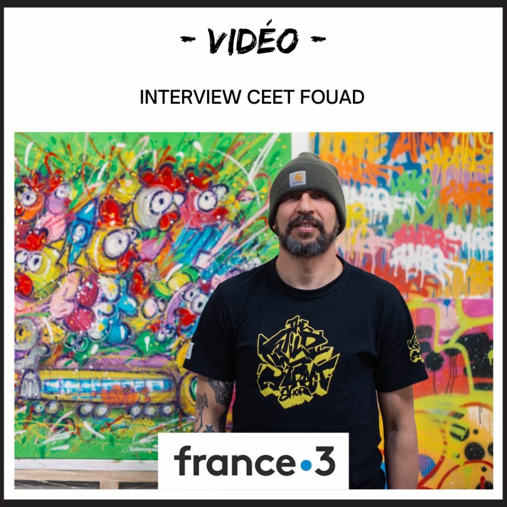 Miniature Interview France 3