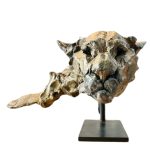 Tête de lion des montagnes