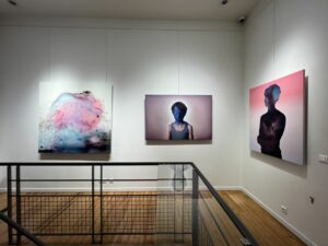 Expo Erwann Tirilly