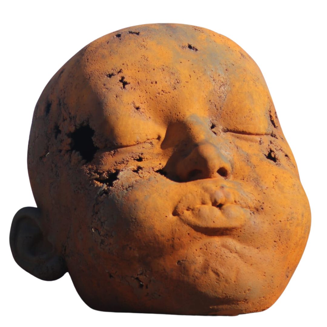 SALCEDO - PROFIL