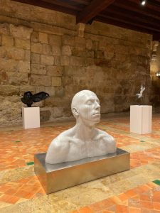 Expo Millenium, Narbonne