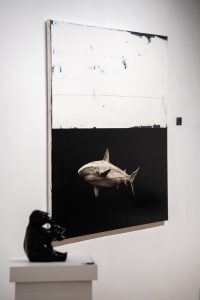 Expo Joannes & Bassompierre