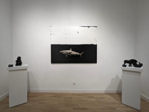 Expo Joannes & Bassompierre
