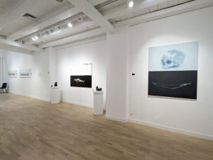 Expo Joannes & Bassompierre