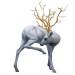 Forest Guardian