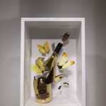 IMG 8662