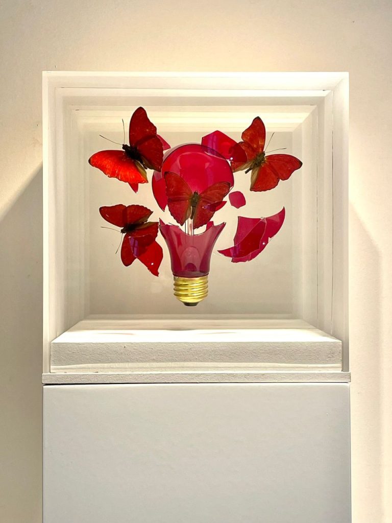 Jean Luc Maniouloux Impact Ampoule Rouge Papillons Rouges