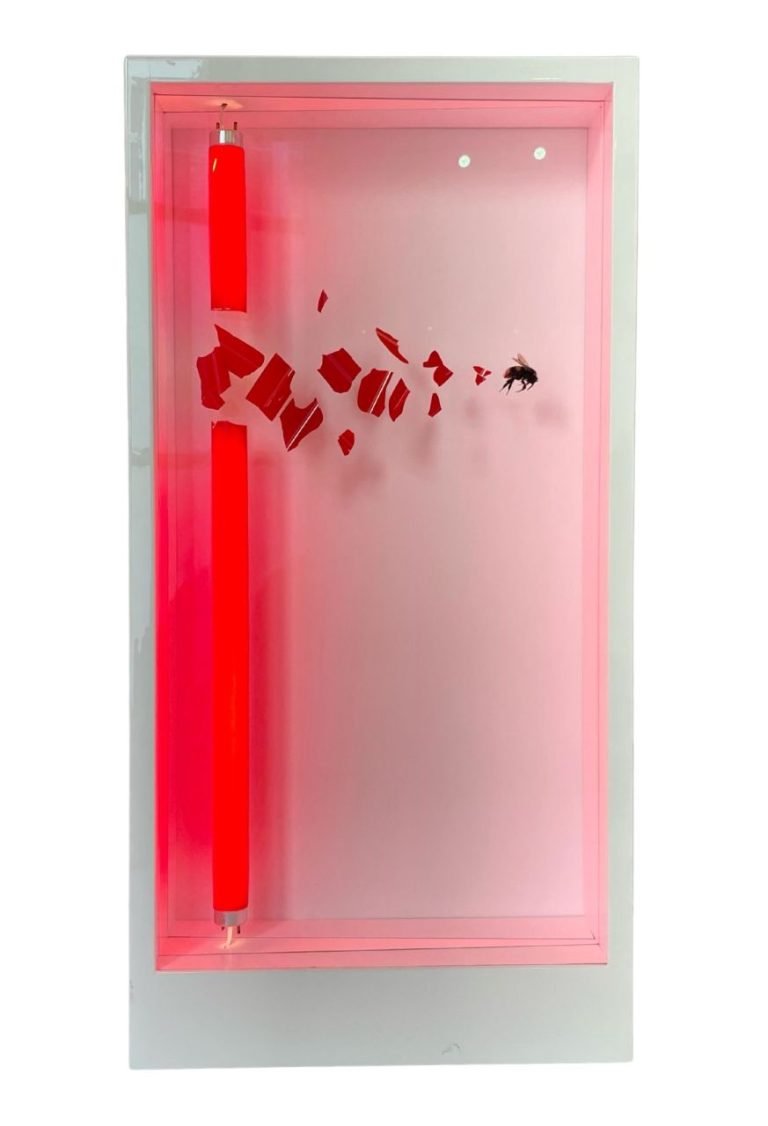 Maniouloux Impact Rouge (4)