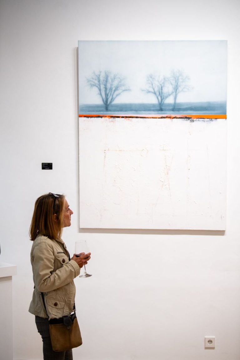 EXPO JOANNES & BASSOMPIERRE Vernissage 6
