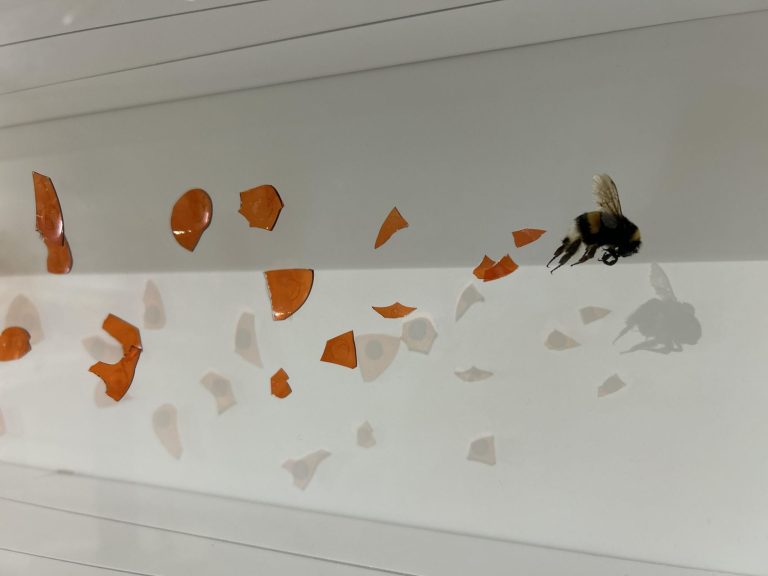 MANIOULOUX Impact Ampoule Orange Et Bourdon 2024 (5)