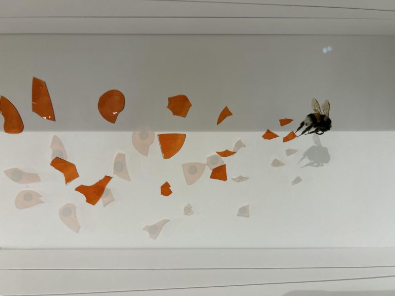 MANIOULOUX Impact Ampoule Orange Et Bourdon 2024 (6)