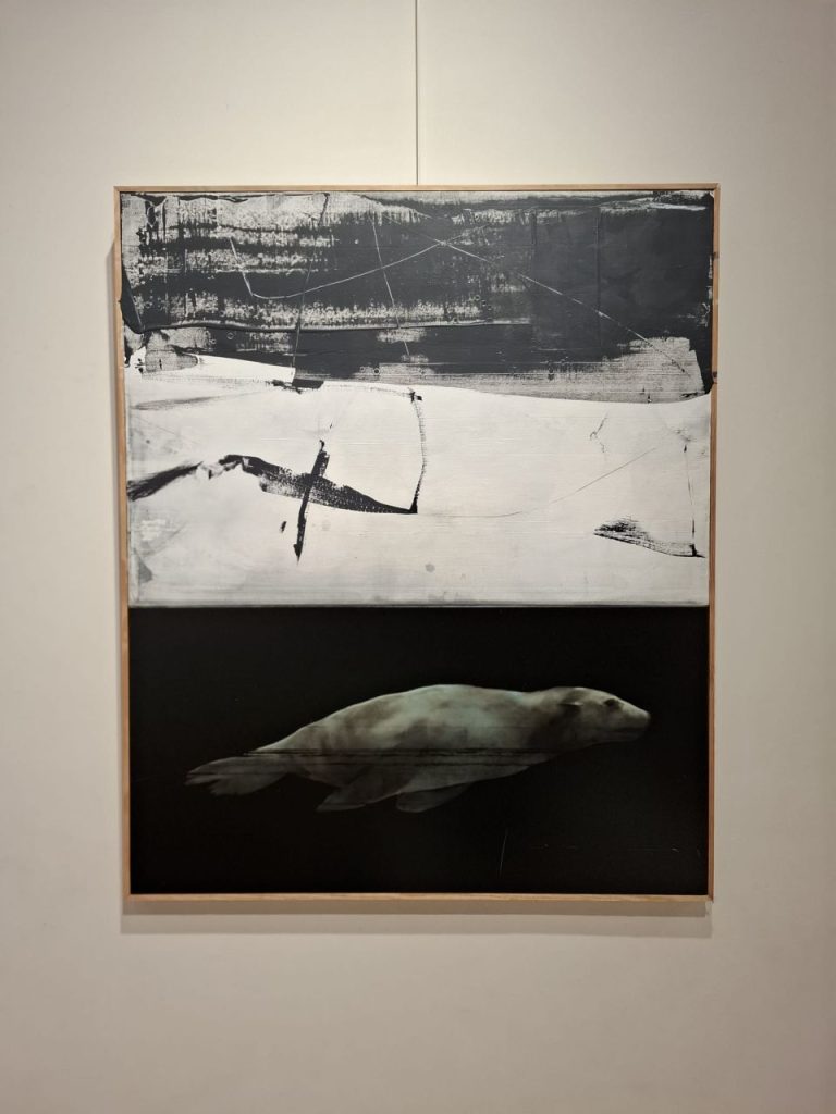 WhatsApp Image 2025 11 05 à 10.34.30 46f9c6af