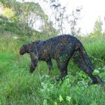 WhatsApp Image 2025 12 29 At 11.51.32 (3)