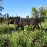 WhatsApp Image 2025 12 29 At 11.51.33 (1)