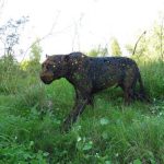 WhatsApp Image 2025 12 29 At 11.51.33