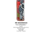 Mr. Brainwash Fire Extinguisher 63.5 X 22.9 X 17.8 Cm