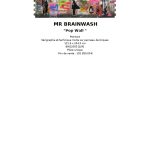 Mr. Brainwash Pop Wall 121.9 X 244.5 Cm