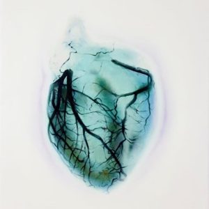 Myocarde #10