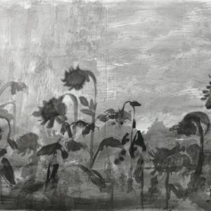 Tournesols