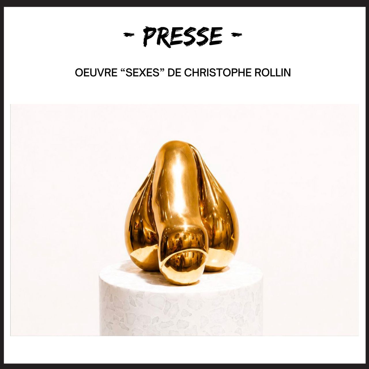 Oeuvre "Sexes" de Christophe Rollin