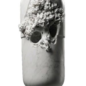 20 mg n°4