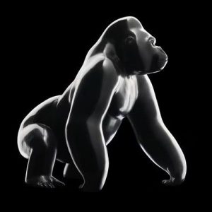 La Rencontre n°1b